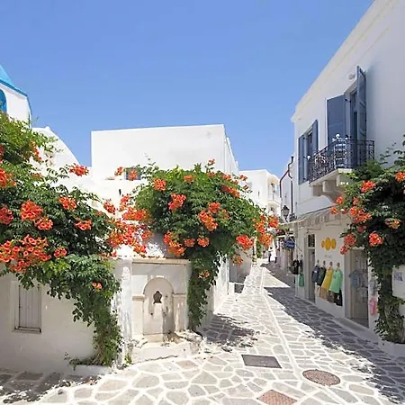 Hotel Dina